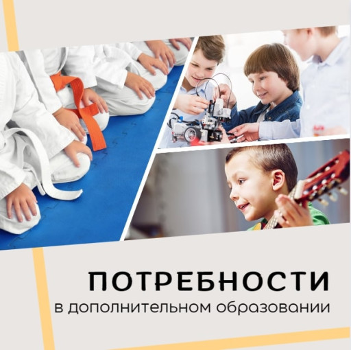 Потребность в дополнительном образовании детей в г. Кирове Потребность в дополнительном образовании детей в г. Кирове.